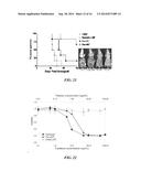 POLYMERIC DEPOTS FOR LOCALIZATION OF AGENT TO BIOLOGICAL SITES diagram and image