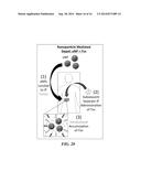 POLYMERIC DEPOTS FOR LOCALIZATION OF AGENT TO BIOLOGICAL SITES diagram and image