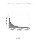 In-Situ Forming Foam for Endoscopic Lung Volume Reduction diagram and image