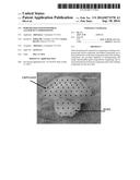 PERFORATED OSTEOCHONDRAL ALLOGRAFT COMPOSITIONS diagram and image