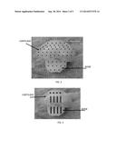 PERFORATED OSTEOCHONDRAL ALLOGRAFT COMPOSITIONS diagram and image