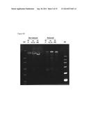 METHOD FOR PREPARING HUMAN FACTOR H diagram and image