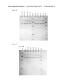 METHOD FOR PREPARING HUMAN FACTOR H diagram and image