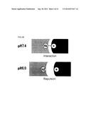 ION CONCENTRATION-DEPENDENT BINDING MOLECULE LIBRARY diagram and image