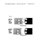 ION CONCENTRATION-DEPENDENT BINDING MOLECULE LIBRARY diagram and image