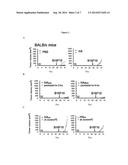 MODIFIED HYALURONAN AND USES THEREOF IN CANCER TREATMENT diagram and image