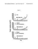 MODIFIED HYALURONAN AND USES THEREOF IN CANCER TREATMENT diagram and image