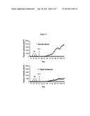 MODIFIED HYALURONAN AND USES THEREOF IN CANCER TREATMENT diagram and image