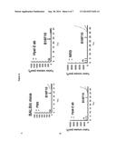 MODIFIED HYALURONAN AND USES THEREOF IN CANCER TREATMENT diagram and image