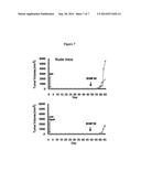 MODIFIED HYALURONAN AND USES THEREOF IN CANCER TREATMENT diagram and image