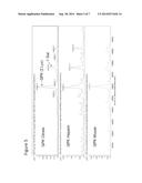 MUTATED ANTI-TNFa ANTIBODIES AND METHODS OF THEIR USE diagram and image