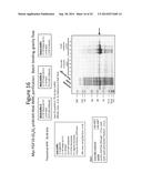 FGF-10 Complexes diagram and image