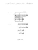 HUMAN NOTCH1 DECOYS diagram and image