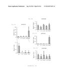 HUMAN NOTCH1 DECOYS diagram and image