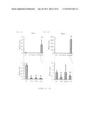 HUMAN NOTCH1 DECOYS diagram and image