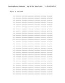 HUMAN NOTCH1 DECOYS diagram and image