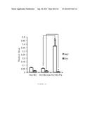 HUMAN NOTCH1 DECOYS diagram and image