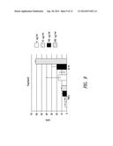 IMMUNOLOGICALLY ACTIVE POLYPEPTIDE diagram and image