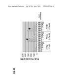 MONOCLONAL ANTIBODIES AGAINST ANTITHROMBIN BETA diagram and image