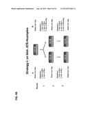 MONOCLONAL ANTIBODIES AGAINST ANTITHROMBIN BETA diagram and image