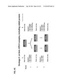 MONOCLONAL ANTIBODIES AGAINST ANTITHROMBIN BETA diagram and image