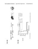 MONOCLONAL ANTIBODIES AGAINST ANTITHROMBIN BETA diagram and image