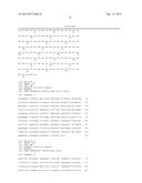 MONOCLONAL ANTIBODIES AGAINST ANTITHROMBIN BETA diagram and image