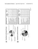 RANDOM HOMOZYGOUS GENE PERTURBATION (RHGP) WITH THERMAL ASSYMETRIC     INTERLACED (TAIL)-PCR diagram and image