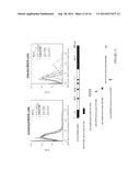RANDOM HOMOZYGOUS GENE PERTURBATION (RHGP) WITH THERMAL ASSYMETRIC     INTERLACED (TAIL)-PCR diagram and image