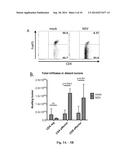 Newcastle Disease Viruses and Uses Thereof diagram and image