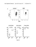 Newcastle Disease Viruses and Uses Thereof diagram and image