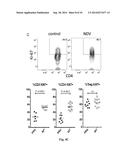 Newcastle Disease Viruses and Uses Thereof diagram and image