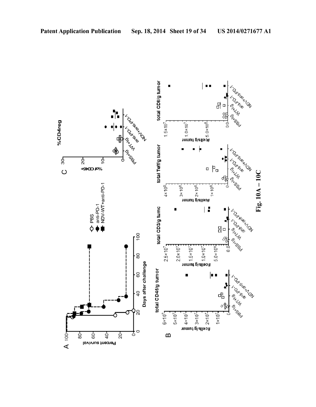 Newcastle Disease Viruses and Uses Thereof - diagram, schematic, and image 20