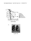 Newcastle Disease Viruses and Uses Thereof diagram and image