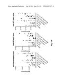 Newcastle Disease Viruses and Uses Thereof diagram and image