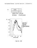 Newcastle Disease Viruses and Uses Thereof diagram and image