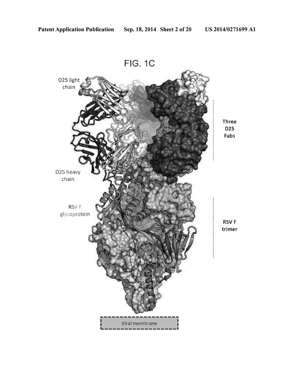 PREFUSION RSV F PROTEINS AND THEIR USE - diagram, schematic, and image 03