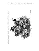 METHODS AND COMPOSITIONS FOR NOROVIRUS BLOCKADE EPITOPES diagram and image