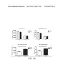 NOVEL TYPE 1 DIABETES VACCINES, AND METHODS OF USE diagram and image