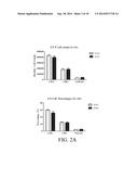 NOVEL TYPE 1 DIABETES VACCINES, AND METHODS OF USE diagram and image