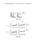 NOVEL TYPE 1 DIABETES VACCINES, AND METHODS OF USE diagram and image