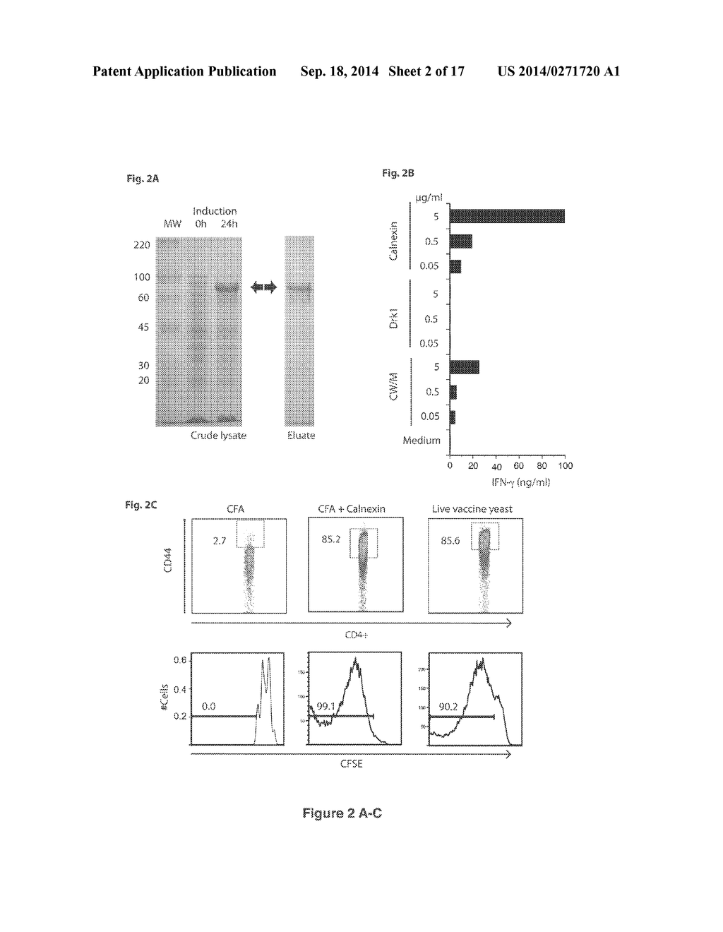 Method of Treating Fungal Infection - diagram, schematic, and image 03