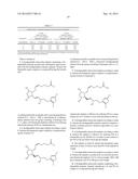 PROSTAMIDE-CONTAINING INTRAOCULAR IMPLANT diagram and image