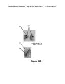 COMPOSITIONS, METHODS AND DEVICES FOR LOCAL DRUG DELIVERY diagram and image