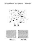 WEAR RESISTANT LEAD FREE ALLOY BUSHING AND METHOD OF MAKING diagram and image