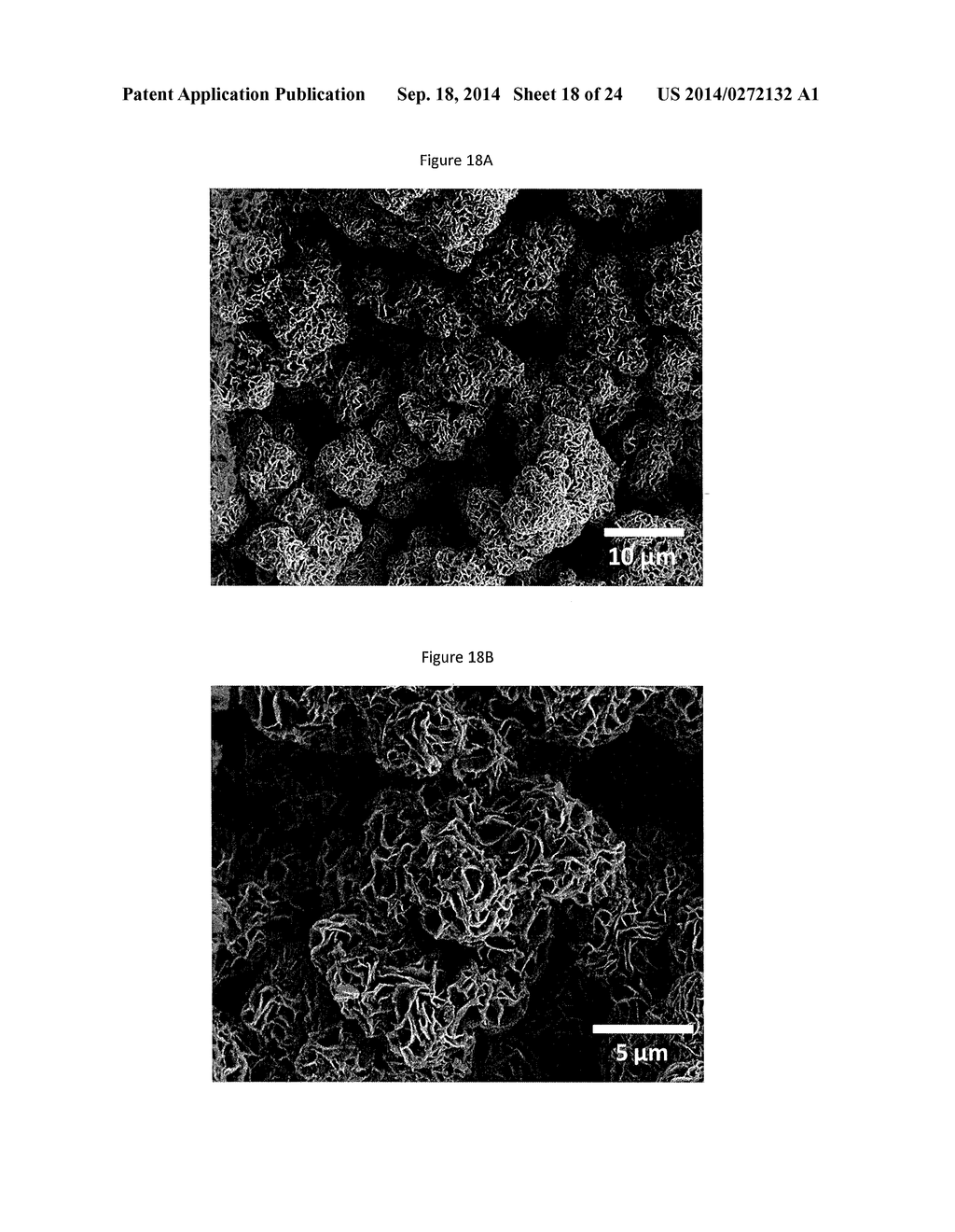 Complexometric Precursors Formulation Methodology for Industrial     Production of High Performance Fine and Ultrafine Powders and Nanopowders     for Specialized Applications - diagram, schematic, and image 19
