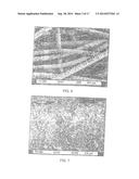 NONWOVEN SUBSTRATES HAVING FIBRILS diagram and image