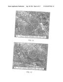 NONWOVEN SUBSTRATES HAVING FIBRILS diagram and image