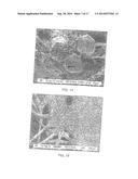 NONWOVEN SUBSTRATES HAVING FIBRILS diagram and image