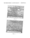 NONWOVEN SUBSTRATES HAVING FIBRILS diagram and image